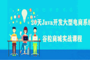 【2019最新版】20天Java开发大型电商系统谷粒商城实战课程