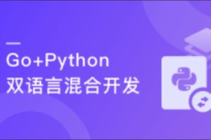 【微体系课】Go+Python打造电商系统 自研微服务框架（完结）