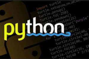 [Python入门] 沐言优拓-Python课程